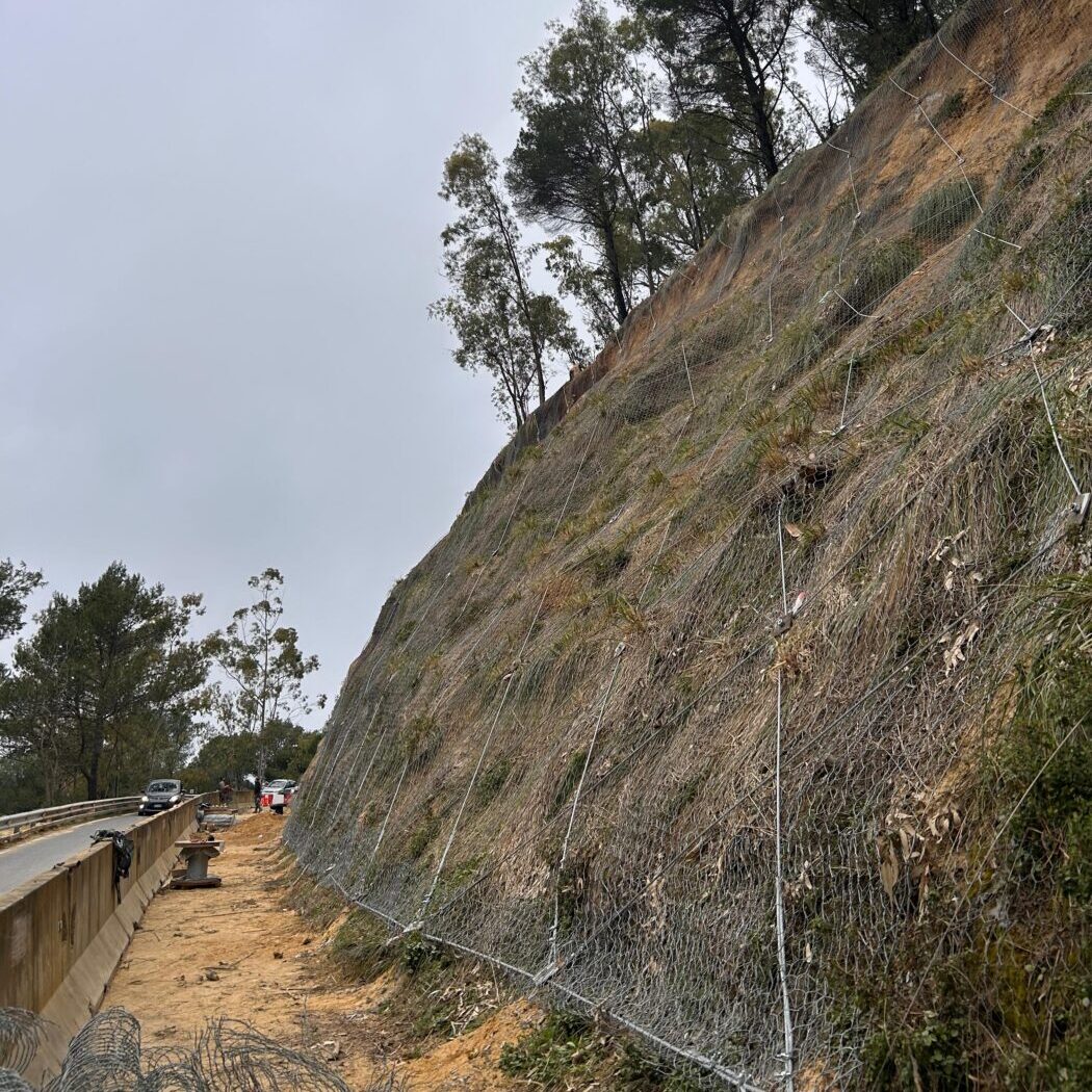 WhatsApp Image 2026 03 05 at 20