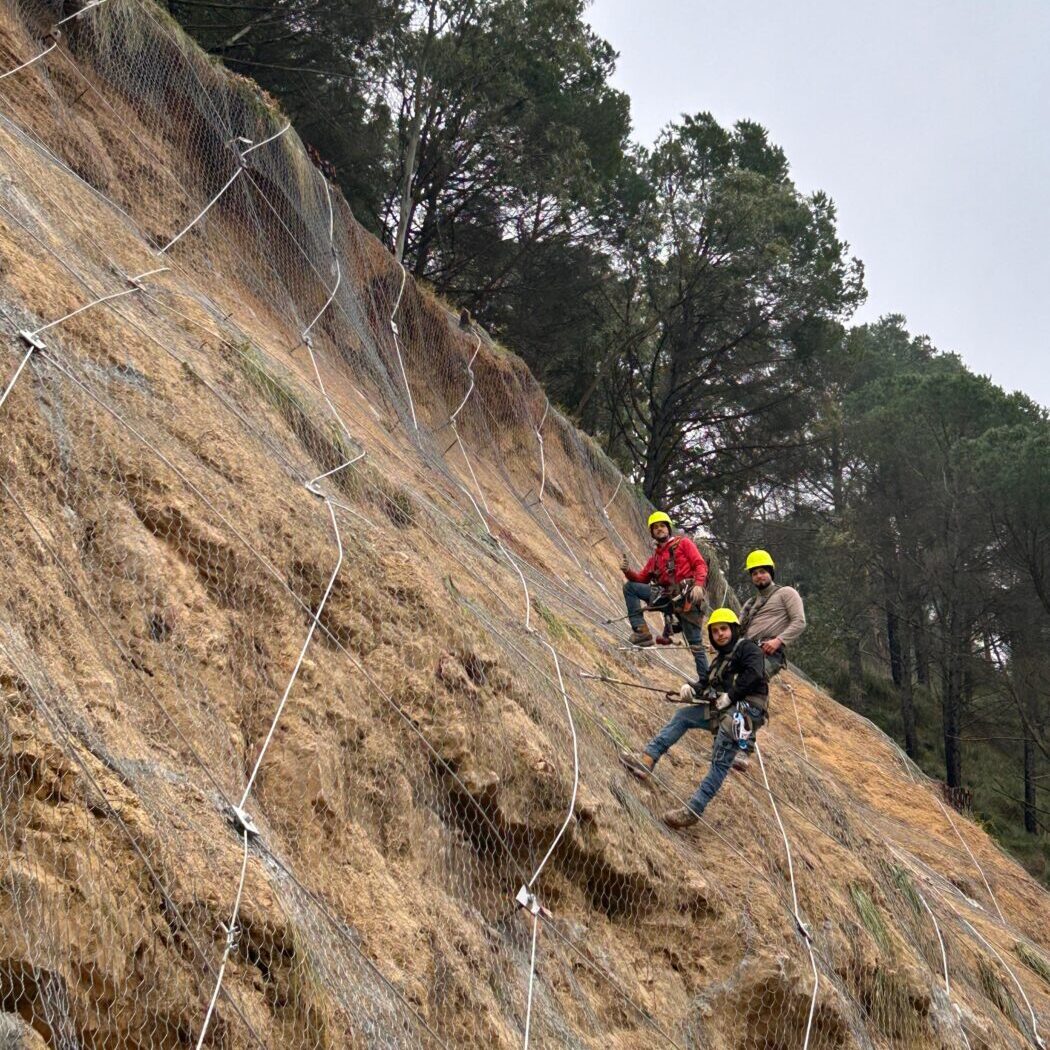 WhatsApp Image 2026 03 05 at 20